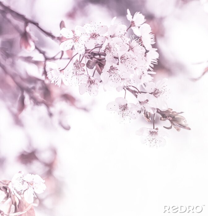 Sticker Blütennatur