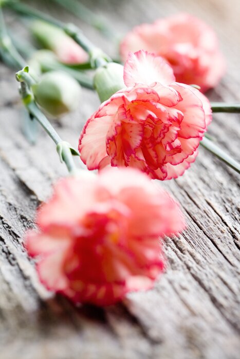 Sticker Blumen auf alten Brettern