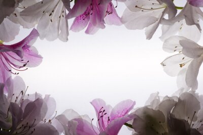 Sticker Blumen in Form eines Rahmens