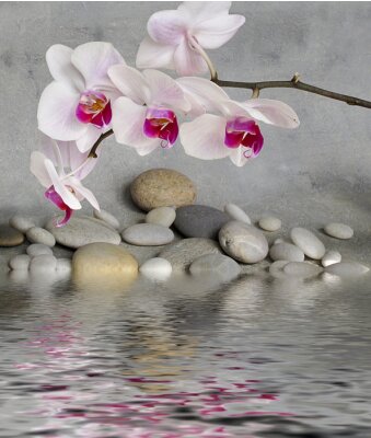 Blumen, Wasser und Steine