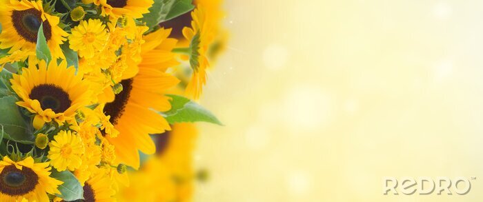 Sticker Blumenstrauß aus Sonnenblumen auf gelbem Hintergrund