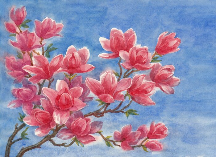 Sticker Blumenzeichnung mit Magnolie