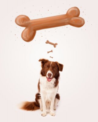 Sticker Border Collie Hunde und Cartoon-Knochen