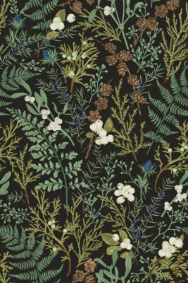 Tapete Botanical seamless pattern. Vintage.
