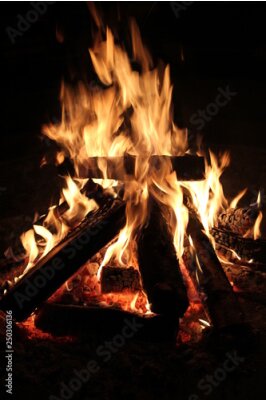 Sticker Brennendes Holz im Kamin