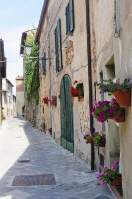 Bunte Blumen bei altem Mietshaus