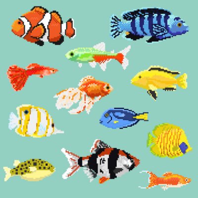 Sticker Bunte Fische aus Pixelgrafiken