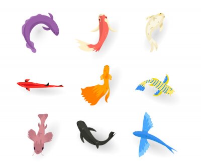 Sticker Bunte Fische mit kurzen und langen Flossen