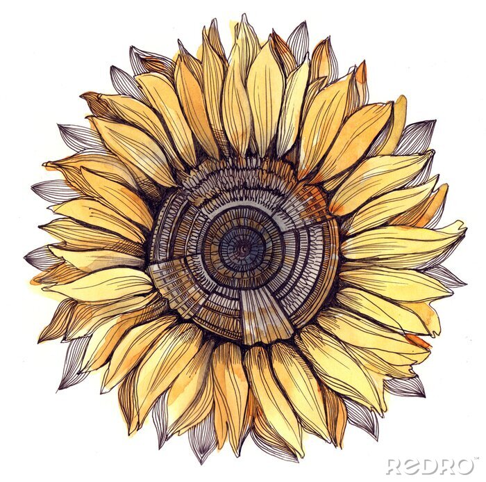 Sticker Bunte Skizze mit Sonnenblume