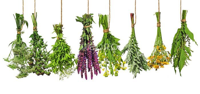 Sticker Bunte Sträuße aus frischen Kräutern auf weißem Hintergrund