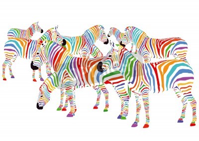 Sticker Bunte Zebras