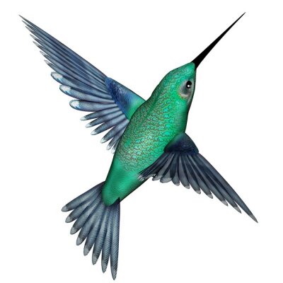 Sticker Bunter Kolibri auf hellem Hintergrund