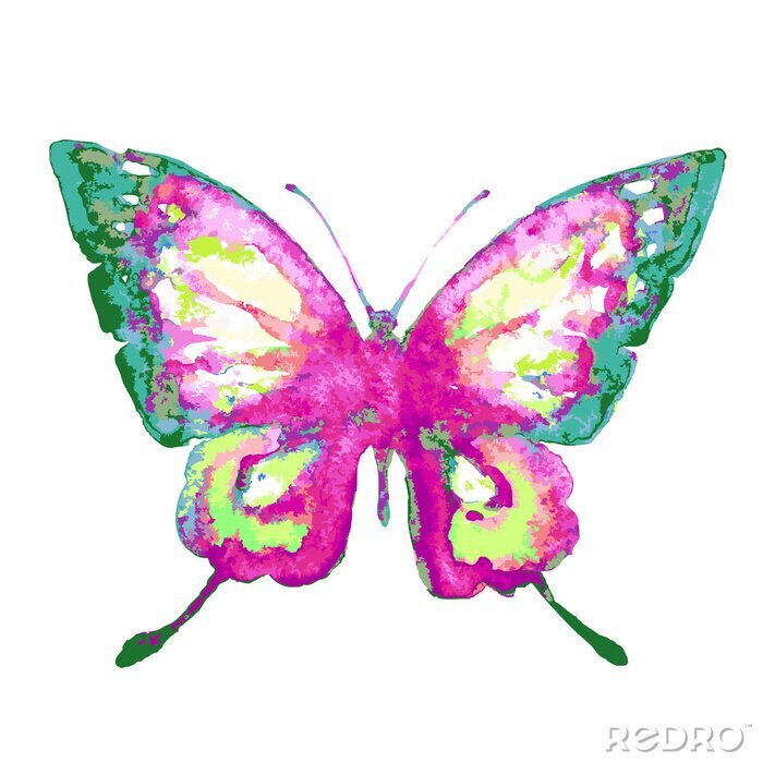 Sticker Bunter Schmetterling in Aquarell