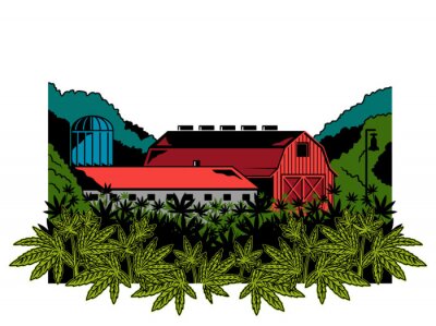 Cannabis natural farm print 