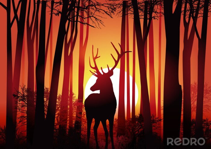 Sticker Cerf - Forêt - Chasse - Natur