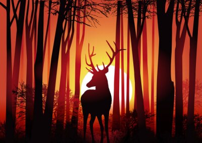 Sticker Cerf - Forêt - Chasse - Natur