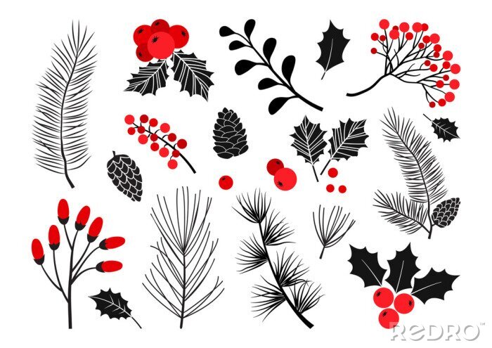Sticker Christmas vector plants, holly berry, christmas tree, pine, rowan, leaves branches, holiday decoration, winter symbols isolated on white background. Red and black colors. Vintage nature illustration