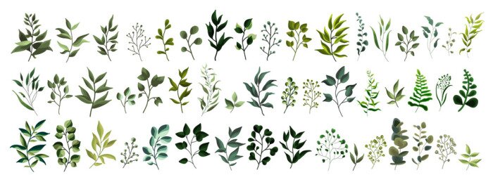 Sticker Collection of greenery leaf plant forest herbs tropical leaves