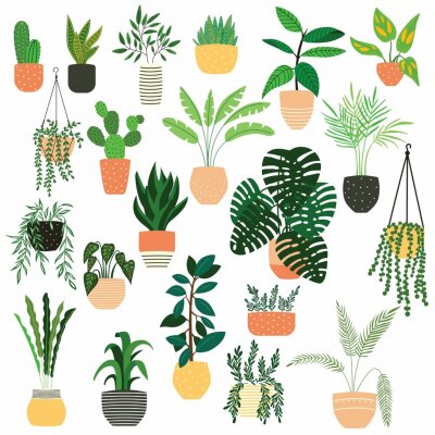 Sticker Collection of hand drawn indoor house plants on white background. Collection of potted plants. Colorful flat vector illustration