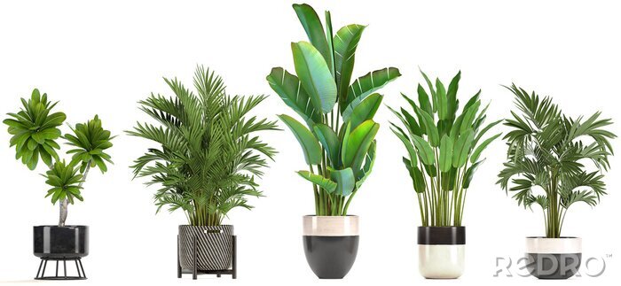 Sticker collection of ornamental plants in pots