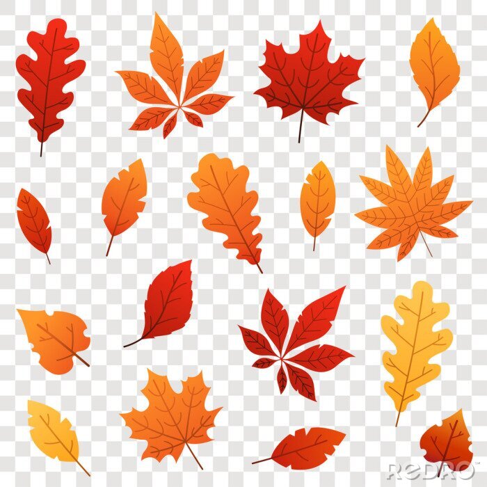 Sticker Colorful Autumn falling leaves isolated on transparent background. Vector illustration.