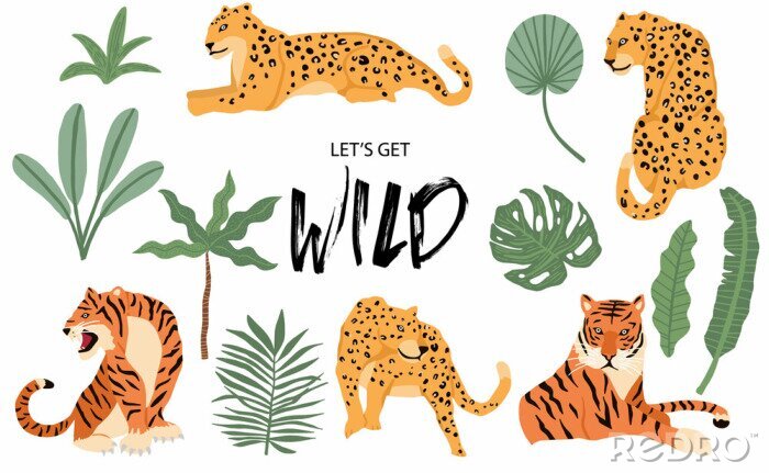 Sticker Cute animal object collection with leopard,tiger. illustration for icon,logo,sticker,printable.Include wording let's get wild