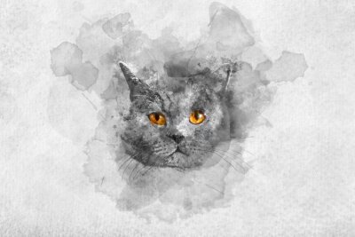 Sticker Cute British shorthair cat's watercolor portrait.