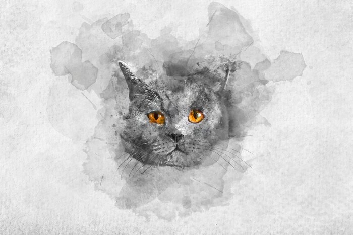 Sticker Cute British shorthair cat's watercolor portrait.