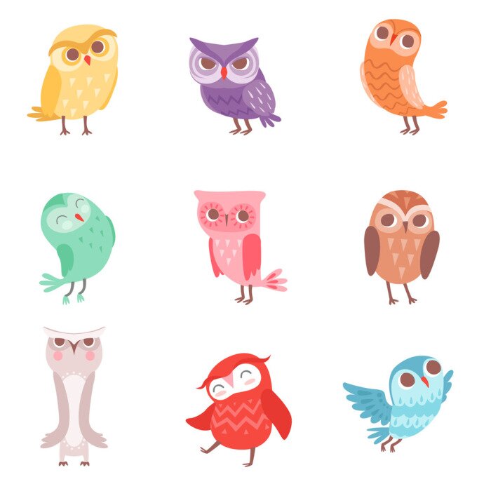 Sticker Cute cartoon colorful owls set, lovely owlets vector Illustrations