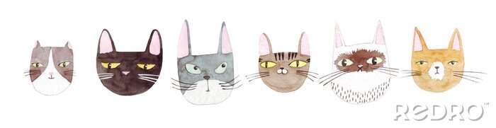 Sticker Cute cats collection on white background. Colorful graphic cats, poster design. Watercolor hand drawn illustration. Painted backdrop. Cloth pattern. Cat, kitten, head.