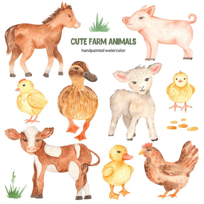Sticker Cute farm animals horse, pig, lamb, calf, duck, duckling, watercolor chick