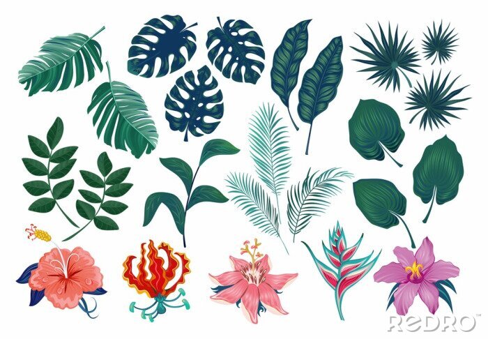 Sticker Cute tropical stickers and labels. Summer set of leaves and flowers. Vector illustration