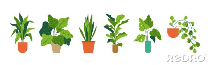 Sticker Decorative green houseplants in pots and planters, natural home decor and urban jungle