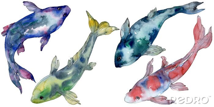 Sticker Dekorative Fische mit mehrfarbiger Aquarellierung