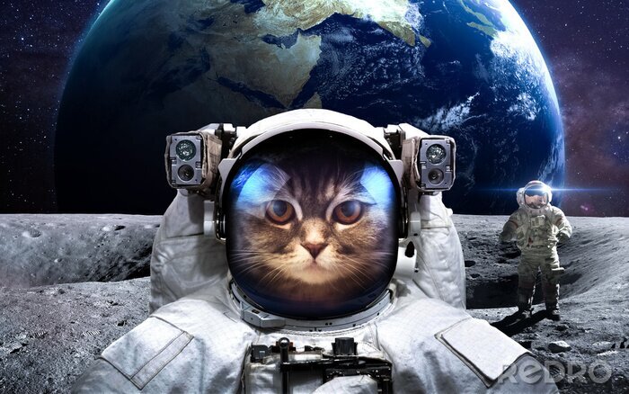 Sticker Der Weltraum von einem Katzen-Astronauten erobert