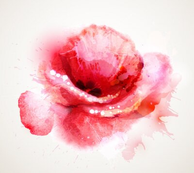 Sticker Die Blüte rote Mohn