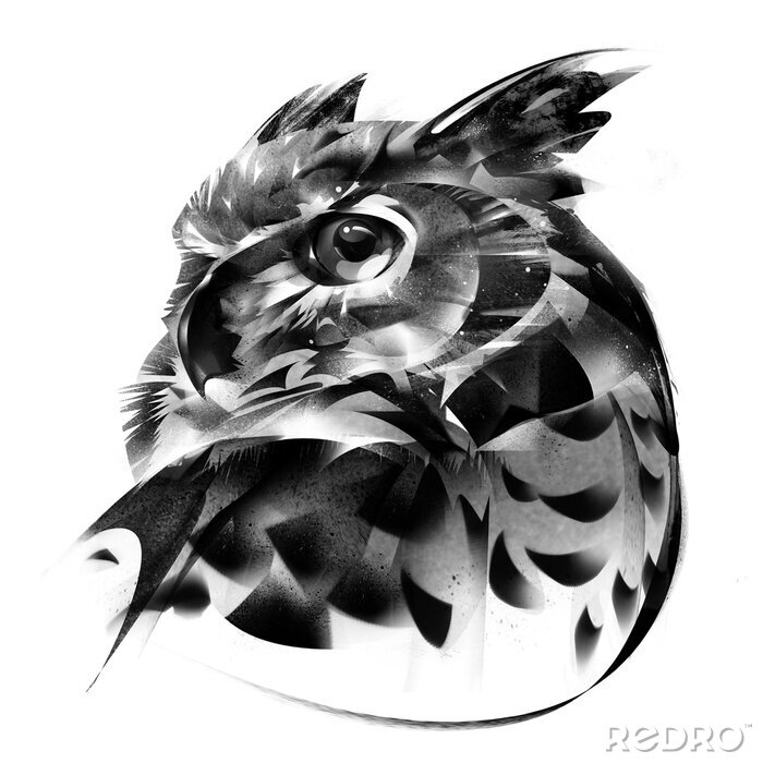 Sticker drawn portrait of an owl bird on a white background