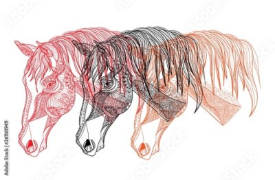 Sticker Drei Pferde und dekorative Ornamente