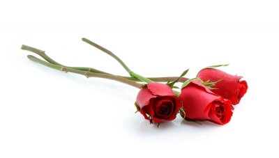 Sticker Drei Rosen ohne Blätter