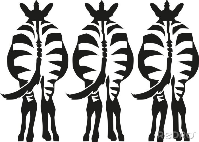 Sticker Drei Zebras von hinten gesehen