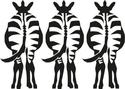 Sticker Drei Zebras von hinten gesehen