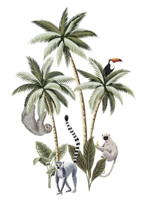 Dschungeltiere auf weißem Hintergrund