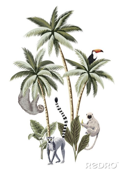 Sticker Dschungeltiere auf weißem Hintergrund