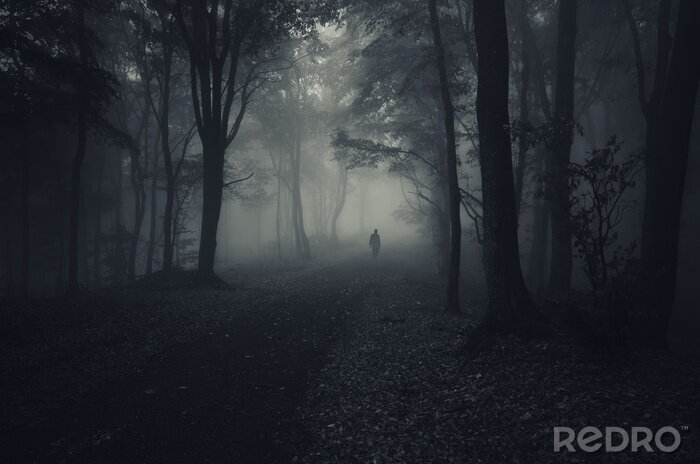 Sticker Düsterer Wald in dunklen Farben
