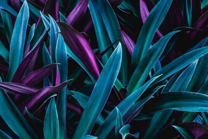 Sticker Dunkelgrüne Pflanzen mit Blumen