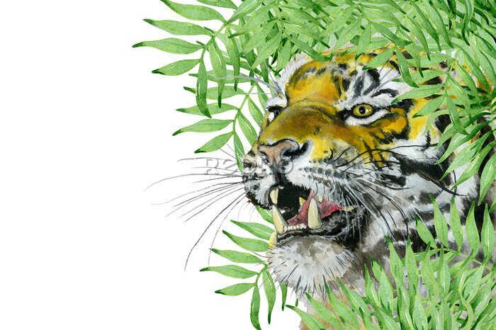 Sticker Ein brüllender Tiger im Grünen