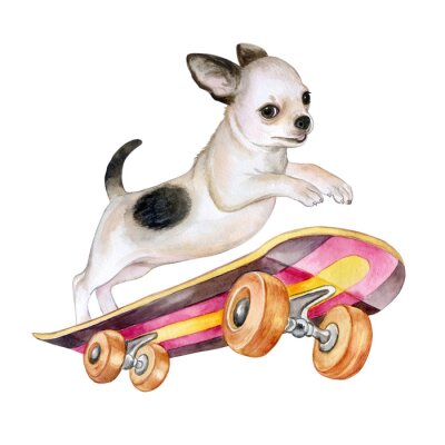 Sticker Ein Chihuahua-Hund auf einem Skateboard. Welpe isoliert auf weißem Hintergrund. Aquarell. Illustration