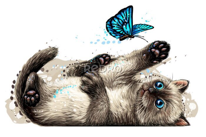 Sticker Ein Kätzchen und ein blauer Schmetterling