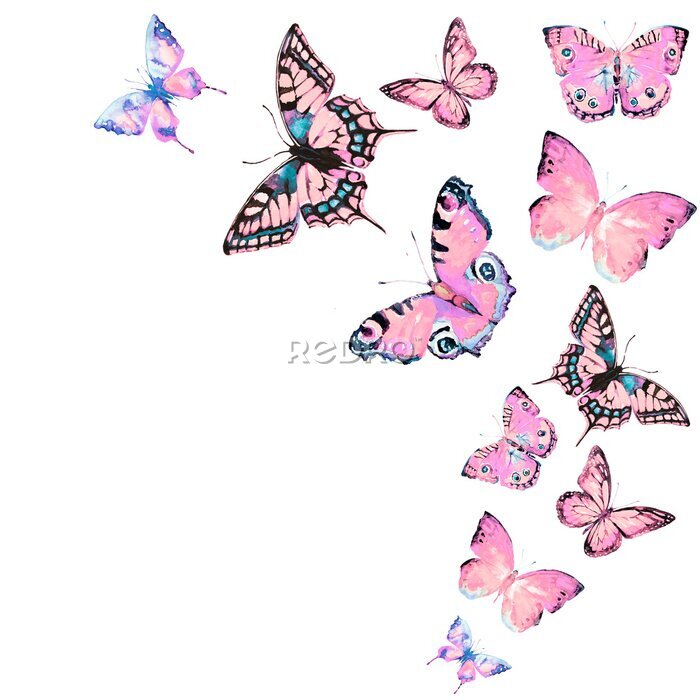 Sticker Eine Gruppe rosafarbener Schmetterlinge