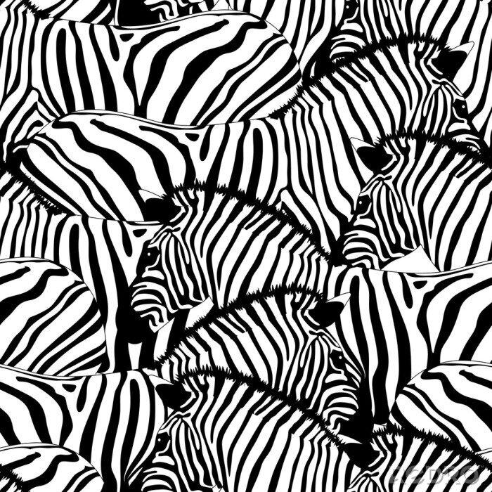 Sticker Eine Herde schwarz-weißer Zebras